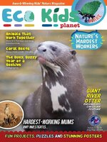 Eco Kids Planet Magazine